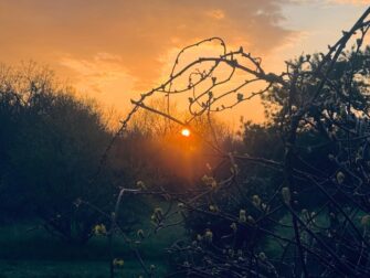 the abundance of nature and beauty of sunsets